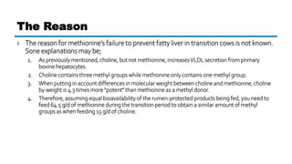 › The reason for methionine’s failure to prevent fatty liver in transition cows is not known.
Sone explanations may be;
1. As previously mentioned, choline, but not methionine, increasesVLDL secretion from primary
bovine hepatocytes.
2. Choline contains three methyl groups while methionine only contains one methyl group.
3. When putting in account differences in molecular weight between choline and methionine, choline
by weight is 4.3 times more “potent” than methionine as a methyl donor.
4. Therefore, assuming equal bioavailability of the rumen-protected products being fed, you need to
feed 64.5 g/d of methionine during the transition period to obtain a similar amount of methyl
groups as when feeding 15 g/d of choline.
The Reason
 