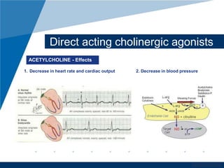 Direct acting cholinergic agonists 
1. Decrease in heart rate and cardiac output 2. Decrease in blood pressure 
www.company.com 
ACETYLCHOLINE - Effects 
 