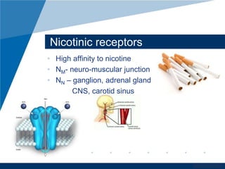 www.company.com 
Nicotinic receptors 
• High affinity to nicotine 
• NM- neuro-muscular junction 
• NN – ganglion, adrenal gland 
CNS, carotid sinus 
 