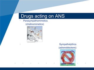 www.company.com 
Drugs acting on ANS 
• Parasympathomimetics 
(cholinomimetics) 
• Sympatholythics 
(adrenoblockers) 
 