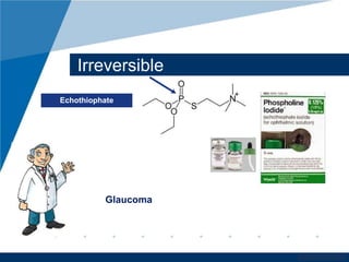 www.company.com 
Irreversible 
Echothiophate 
Glaucoma 
 
