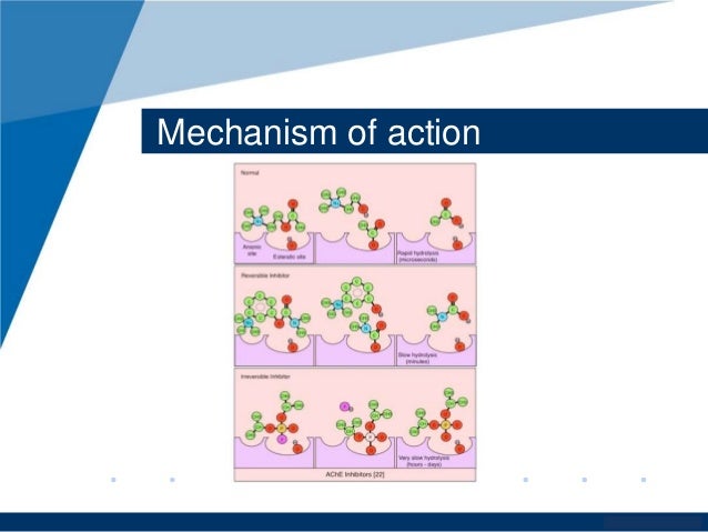 Exelon patch mechanism of action