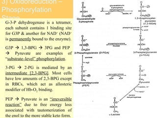 March 17, 2018 Dr. Mohamed Z Gad 11
3) Oxidoreduction –
Phosphorylation
Stage• G-3-P dehydrogenase is a tetramer,
each subunit contains 1 binding site
for G3P & another for NAD+
(NAD+
is permanently bound to the enzyme).
• G3P  1,3-BPG  3PG and PEP
 Pyruvate are examples of
“substrate–level” phosphorylation.
• 3-PG  2-PG is mediated by an
intermediate [2,3-BPG]. Most cells
have low amounts of 2,3-BPG except
in RBCs, which act as allosteric
modifier of Hb-O2 binding.
• PEP  Pyruvate is an “irreversible
reaction” due to free energy loss
associated with tautomerization of
the enol to the more stable keto form.
 