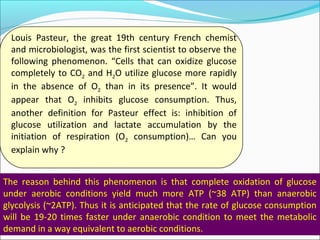 March 17, 2018 Dr. Mohamed Z Gad 15
Louis Pasteur, the great 19th century French chemist
and microbiologist, was the first scientist to observe the
following phenomenon. “Cells that can oxidize glucose
completely to CO2 and H2O utilize glucose more rapidly
in the absence of O2 than in its presence”. It would
appear that O2 inhibits glucose consumption. Thus,
another definition for Pasteur effect is: inhibition of
glucose utilization and lactate accumulation by the
initiation of respiration (O2 consumption)… Can you
explain why ?
The reason behind this phenomenon is that complete oxidation of glucose
under aerobic conditions yield much more ATP (~38 ATP) than anaerobic
glycolysis (~2ATP). Thus it is anticipated that the rate of glucose consumption
will be 19-20 times faster under anaerobic condition to meet the metabolic
demand in a way equivalent to aerobic conditions.
 