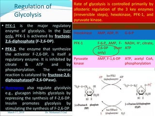 Regulation of
Glycolysis
March 17, 2018 Dr. Mohamed Z Gad 16
Rate of glycolysis is controlled primarily by
allosteric regulation of the 3 key enzymes
(irreversible steps), hexokinase, PFK-1, and
pyruvate kinase.
Enzyme Activator Inhibitor
Hexokinase AMP, ADP, Pi G-6-P
PFK-1 F-6-P, AMP, F-
2,6-DP (liver
only)
NADH, H+
, citrate,
ATP
Pyruvate
kinase
AMP, F-1,6-DP ATP, acetyl CoA,
phosphorylation
• PFK-1 is the major regulatory
enzyme of glycolysis. In the liver
only, PFK-1 is activated by fructose-
2,6-diphosphate (F-2,6-DP).
• PFK-2, the enzyme that synthesize
the activator F-2,6-DP, is itself a
regulatory enzyme. It is inhibited by
citrate & ATP and by
phosphorylation. The reverse
reaction is catalyzed by fructose-2,6-
diphosphatase(F-2,6-DPase).
• Hormones also regulate glycolysis
e.g., glucagon inhibits glycolysis by
repressing the synthesis of F-2,6-DP.
Insulin promotes glycolysis by
stimulating the synthesis of F-2,6-DP.
 
