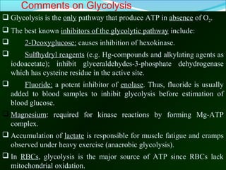 March 17, 2018 Dr. Mohamed Z Gad 18
•
Comments on Glycolysis
 Glycolysis is the only pathway that produce ATP in absence of O2.
 The best known inhibitors of the glycolytic pathway include:
 2-Deoxyglucose:2-Deoxyglucose: causes inhibition of hexokinase.
 Sulfhydryl reagentsSulfhydryl reagents (e.g. Hg-compounds and alkylating agents as
iodoacetate); inhibit glyceraldehydes-3-phosphate dehydrogenase
which has cysteine residue in the active site.
 Fluoride: a potent inhibitor of enolase. Thus, fluoride is usually
added to blood samples to inhibit glycolysis before estimation of
blood glucose.
 MagnesiumMagnesium:: required for kinase reactions by forming Mg-ATP
complex.
 Accumulation of lactate is responsible for muscle fatigue and cramps
observed under heavy exercise (anaerobic glycolysis).
 In RBCs, glycolysis is the major source of ATP since RBCs lack
mitochondrial oxidation.
 