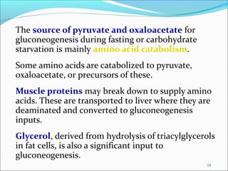 The source of pyruvate and oxaloacetate for
gluconeogenesis during fasting or carbohydrate
starvation is mainly amino acid catabolism.
Some amino acids are catabolized to pyruvate,
oxaloacetate, or precursors of these.
Muscle proteins may break down to supply amino
acids. These are transported to liver where they are
deaminated and converted to gluconeogenesis
inputs.
Glycerol, derived from hydrolysis of triacylglycerols
in fat cells, is also a significant input to
gluconeogenesis.
24
 