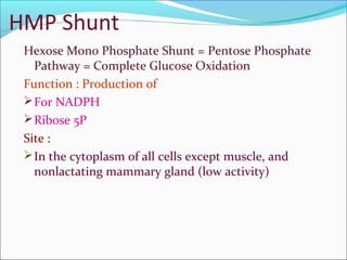 HMP Shunt
Hexose Mono Phosphate Shunt = Pentose Phosphate
Pathway = Complete Glucose Oxidation
Function : Production of
For NADPH
Ribose 5P
Site :
In the cytoplasm of all cells except muscle, and
nonlactating mammary gland (low activity)
 