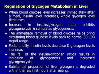 Regulation of Glycogen Metabolism in Liver
 When blood glucose level increases immediately after
a meal, insulin level increases, whole glycogen level
decreases.
 Increase in insulin/glycogen ration inhibits
glycogenolysis & stimulates glycogenesis.
 The immediate removal of blood glucose helps bring
circulating blood glucose levels back to normal 80-100
mg/dl range.
 Postprandilly, insulin levels decrease & glucagon levels
increase.
 The fall of the insulin/glycogen ratios results in
inhibition of glycogenesis and increased
glycogenolysis.
 Substantial proportion of liver glycogen is degraded
within the few first hours after eating.
 