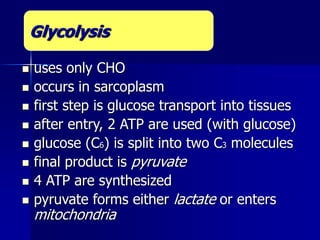  uses only CHO
 occurs in sarcoplasm
 first step is glucose transport into tissues
 after entry, 2 ATP are used (with glucose)
 glucose (C6) is split into two C3 molecules
 final product is pyruvate
 4 ATP are synthesized
 pyruvate forms either lactate or enters
mitochondria
Glycolysis
 