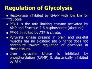 Regulation of Glycolysis
 Hexokinase inhibited by G-6-P with low km for
glucose
 PFk-1 is the rate limiting enzyme activated by
AMP and Fructose-2-6 bisphosphate (alosteric)
 PFK-1 inhibited by ATP & citrate.
 Pyruvate kinase present in brain and skeletal
muscles has no alosteric site & hence does not
contribute toward regulation of glycolysis in
these tissues.
 Liver pyruvate kinase is inhibited by
phosphorylation (CAMP) & alosterically inhibited
by ATP.
 