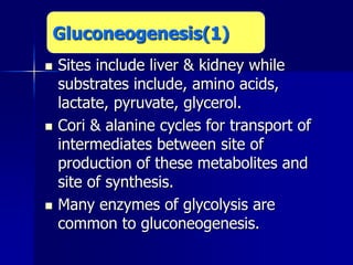  Sites include liver & kidney while
substrates include, amino acids,
lactate, pyruvate, glycerol.
 Cori & alanine cycles for transport of
intermediates between site of
production of these metabolites and
site of synthesis.
 Many enzymes of glycolysis are
common to gluconeogenesis.
Gluconeogenesis(1)
 