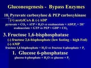 Gluconeogenesis - Bypass Enzymes
pyruvate + CO2 + ATP + H2O  oxaloacetate + ADP,Pi + 2H+
oxaloacetate + GTP  PEP + GDP + CO2
10. Pyruvate carboxylase & PEP carboxykinase
(+) acetylCoA & (-) ADP
3.Fructose 1,6-bisphosphatase
(-) fructose 2,6-bisphosphate (low fasting – high Fed)
(-) AMP
fructose 1,6 bisphosphate + H2O  fructose 6-phosphate + Pi
1. Glucose 6-phosphatase
glucose 6-phosphate + H2O  glucose + Pi
 