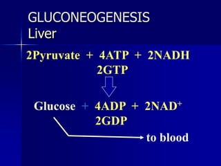 GLUCONEOGENESIS
Liver
2Pyruvate + 4ATP + 2NADH
2GTP
Glucose + 4ADP + 2NAD+
2GDP
to blood
 
