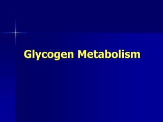 Glycogen Metabolism
 