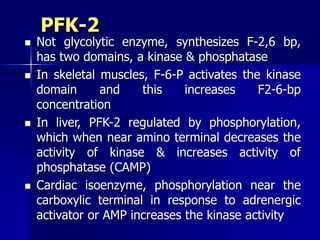 PFK-2
 Not glycolytic enzyme, synthesizes F-2,6 bp,
has two domains, a kinase & phosphatase
 In skeletal muscles, F-6-P activates the kinase
domain and this increases F2-6-bp
concentration
 In liver, PFK-2 regulated by phosphorylation,
which when near amino terminal decreases the
activity of kinase & increases activity of
phosphatase (CAMP)
 Cardiac isoenzyme, phosphorylation near the
carboxylic terminal in response to adrenergic
activator or AMP increases the kinase activity
 