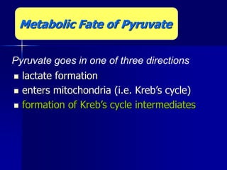  lactate formation
 enters mitochondria (i.e. Kreb’s cycle)
 formation of Kreb’s cycle intermediates
Pyruvate goes in one of three directions
Metabolic Fate of Pyruvate
 
