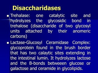 Disaccharidases
 Trehalase: one catalytic site and
hydrolyzes the glycosidic bond in
trehalose (disaccharide of two glycosyl
units attached by their anomeric
carbons)
 Lactase-Glucosyl Ceramidase Complex:
glycoprotein found in the brush border
that has two calaytic sites extending in
the intestinal lumin. It hydrolyzes lactose
and the B-bonds betweeen glucose or
galactose and ceramide in glycolipids.
 