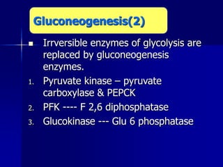  Irrversible enzymes of glycolysis are
replaced by gluconeogenesis
enzymes.
1. Pyruvate kinase – pyruvate
carboxylase & PEPCK
2. PFK ---- F 2,6 diphosphatase
3. Glucokinase --- Glu 6 phosphatase
Gluconeogenesis(2)
 