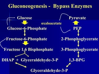 Gluconeogenesis - Bypass Enzymes
Glucose
oxaloacetate
Glucose-6-Phosphate
Fructose-6-Phosphate
Fructose 1,6 Bisphosphate
DHAP + Glyceraldehyde-3-P
Glyceraldehyde-3-P
Pyruvate
PEP
2-Phosphoglycerate
3-Phosphoglycerate
1,3-BPG
 