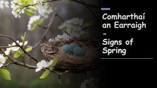 Comharthaí
an Earraigh
-
Signs of
Spring
 