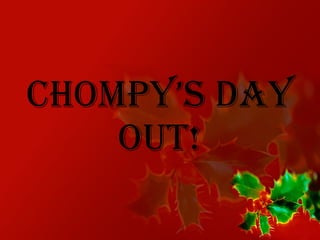 Chompy’s day out! 