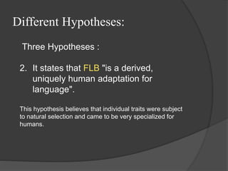 Different Hypotheses:
Three Hypotheses :
2. It states that FLB "is a derived,
uniquely human adaptation for
language".
This hypothesis believes that individual traits were subject
to natural selection and came to be very specialized for
humans.
 