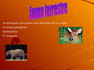 fauna terrestre Se distinguen tres grupos muy diferentes por su origen: andino patagónico Amazónico chaqueño