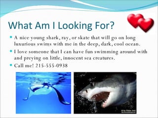 What Am I Looking For? A nice young shark, ray, or skate that will go on long luxurious swims with me in the deep, dark, cool ocean. I love someone that I can have fun swimming around with and preying on little, innocent sea creatures. Call me! 215-555-0938 