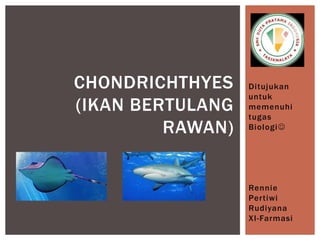 Ditujukan
untuk
memenuhi
tugas
Biologi
Rennie
Pertiwi
Rudiyana
XI-Farmasi
CHONDRICHTHYES
(IKAN BERTULANG
RAWAN)
 