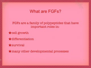 What are FGFs? FGFs are a family of polypeptides that have important roles in:  cell growth  differentiation survival many other developmental processes 