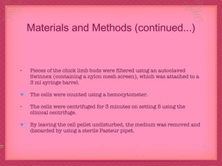 Materials and Methods (continued...) Pieces of the chick limb buds were filtered using an autoclaved Swinnex (containing a nylon mesh screen), which was attached to a 3 ml syringe barrel. The cells were counted using a hemocytometer.  The cells were centrifuged for 3 minutes on setting 5 using the clinical centrifuge. By leaving the cell pellet undisturbed, the medium was removed and discarded by using a sterile Pasteur pipet. 