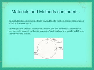 Materials and Methods continued. . . Enough fresh complete medium was added to make a cell concentration of 30 million cells/ml. Three spots of cells at concentrations of 30, 15, and 5 million cells/ml were evenly spaced in the formation of an imaginary triangle in 35 mm tissue culture plates.   