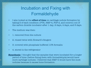 Incubation and Fixing with Formaldehyde  I also looked at the  effect of time  on cartilage nodule formation by taking 2 of each condition (PTH, BMP-4, FGF-2, and control) out of the carbon dioxide incubator after 1 day, 2 days, 4 days, and 5 days. The medium was then:  1. removed from the culture 2. rinsed twice with Howard’s Ringers 3. covered with phosphate buffered 10% formalin  4. stored in the refrigerator Hypothesis : I thought that the samples that were incubated for a longer period of time (before fixing them with formaldehyde)would have more cartilage nodules. I believed that BMP-4 would have the most nodules because it causes bone formation. 