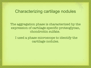 Characterizing cartilage nodules The aggregation phase is characterized by the expression of cartilage-specific proteoglycan, chondroitin sulfate.  I used a phase microscope to identify the cartilage nodules. 