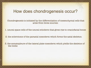 How does chondrogenesis occur? Chondrogenesis is initiated by the differentiation of mesenchymal cells that arise from three sources:  1. neural space cells of the neural ectoderm that gives rise to craniofacial bones 2. the sclerotome of the paraxial mesoderm which forms the axial skeleton 3. the somatopleure of the lateral plate mesoderm which yields the skeleton of  the limbs 