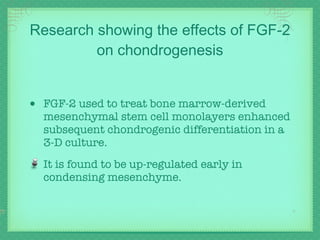Research showing the effects of FGF-2 on chondrogenesis FGF-2 used to treat bone marrow-derived mesenchymal stem cell monolayers enhanced subsequent chondrogenic differentiation in a 3-D culture. It is found to be up-regulated early in condensing mesenchyme.   