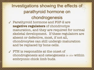 Investigations showing the effects of parathyroid hormone on chondrogenesis Parathyroid hormone and FGF-2 are  negative regulators  of chondroctye maturation, and they are required for normal skeletal development.  If these regulators are absent or defective, most, if not all, chondrocytes can still undergo maturation and be replaced by bone cells. PTH is responsible at the onset of chondrogenesis and osteogenesis  in vivo  within embryonic chick limb buds. 