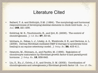 Literature Cited Ballard, T. A. and Biddulph, D.M. (1984).  The morphology and hormonal responsiveness of developing skeletal elements in chick limb buds.  Am. J. Anat .  169 , 221-236. Goldring, M. B., Tsuchimochi, K., and Ijiri, K. (2006).  The control of chondrogenesis.  J. Cell. Biol .  97 , 33-44. Ishihara, A., Zekas, L. J., Litsky, A. S., Weisbrode, S. E., and Bertone, A. L. (2009).  Dermal fibroblast-mediated BMP-2 therapy to accelerate bone healing in an equine osteotomy model.  J. Orthop. Res .  28 , 403-411. Iwamoto, M., Shimazu, A., and Pacifici, M. (1995).  Regulation of chondrocyte maturation by fibroblast growth factor-2 and parathyroid hormone.  J. Orthop. Res .  13 , 838-845. Liu, Z., Xu, J., Colvin, J. S., and Ornitz, D. M. (2002).  Coordination of chondrogenesis and osteogenesis y fibroblast growth factor 18.  Genes & /Dev .  