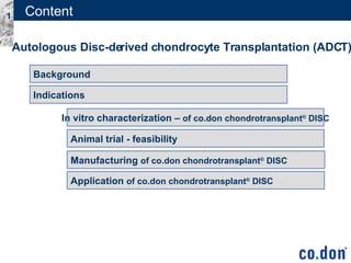 Content In vitro characterization –  of co.don chondrotransplant ®  DISC Animal trial - feasibility Indications Background  Manufacturing  of co.don chondrotransplant ®  DISC Application  of co.don chondrotransplant ®  DISC Autologous Disc-derived chondrocyte Transplantation (ADCT) 
