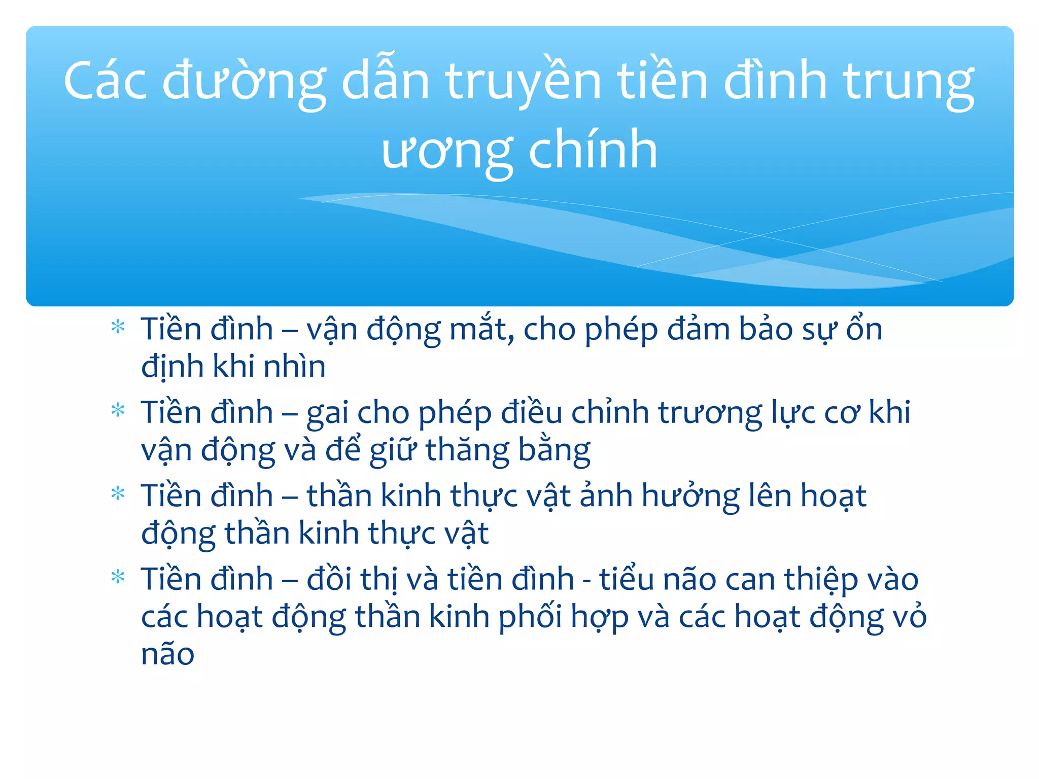 ∗ Tiền đình – vận động mắt, cho phép đảm bảo sự ổn
định khi nhìn
∗ Tiền đình – gai cho phép điều chỉnh trương lực cơ khi
vận động và để giữ thăng bằng
∗ Tiền đình – thần kinh thực vật ảnh hưởng lên hoạt
động thần kinh thực vật
∗ Tiền đình – đồi thị và tiền đình - tiểu não can thiệp vào
các hoạt động thần kinh phối hợp và các hoạt động vỏ
não
Các đường dẫn truyền tiền đình trung
ương chính
 