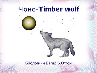 Чоно -Timber wolf




     Биологийн Багш: Б.Отгон
                 
 