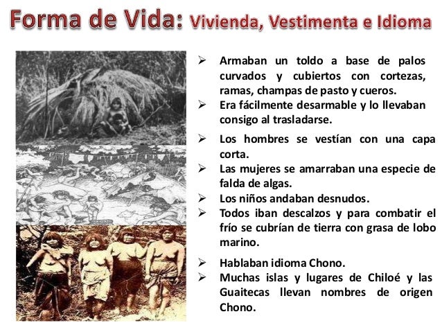 Pueblo Originario de Chile Chonos