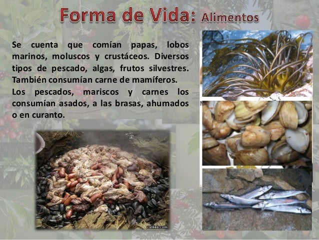 Pueblo Originario de Chile Chonos