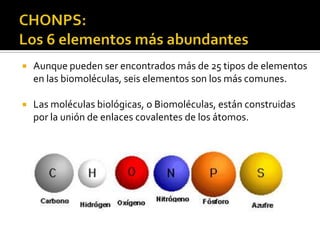 CHONPS: Los 6 elementos más abundantes Aunque pueden ser encontrados más de 25 tipos de elementos en las biomoléculas, seis elementos son los más comunes. Las moléculas biológicas, o Biomoléculas, están construidas por la unión de enlaces covalentes de los átomos.  