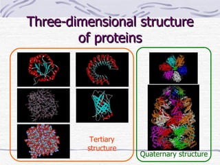 Three-dimensional structure of proteins Tertiary structure Quaternary structure 