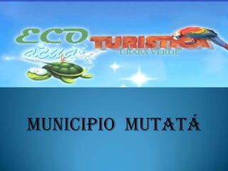MUNICIPIO  MUTATÁ 