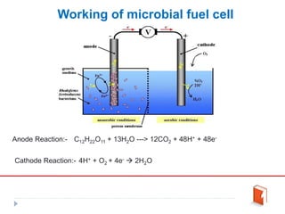 Working of microbial fuel cell
Anode Reaction:- C12H22O11 + 13H2O ---> 12CO2 + 48H+ + 48e-
Cathode Reaction:- 4H+ + O2 + 4e-  2H2O
 