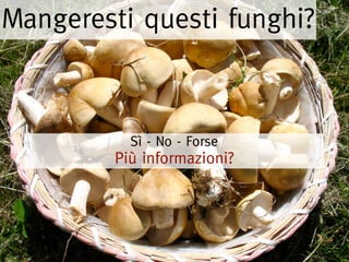 Mangeresti questi funghi?



           Sì - No - Forse
         Più informazioni?
 