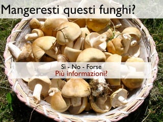 Mangeresti questi funghi?



           Sì - No - Forse
          Più informazioni?
 
